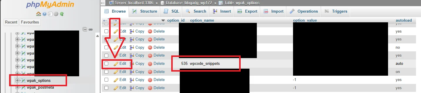 9 Edit wpcode_snippets