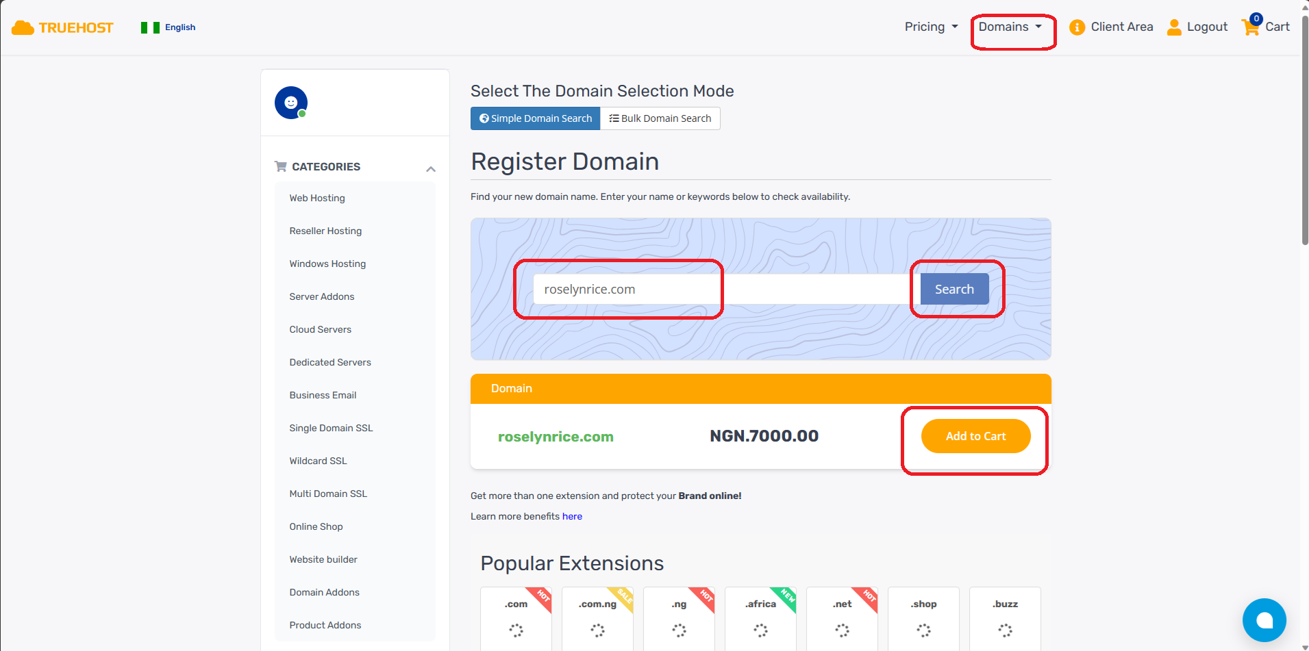 How to Choose and Buy Your Domain Name